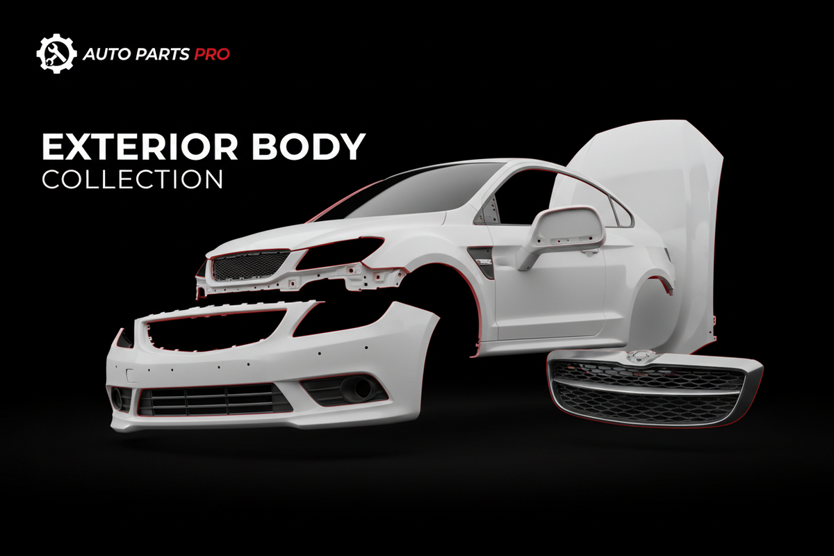 Exterior Body Parts